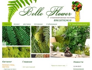 Стабилизированые цветы и растения в Новосибирске - Belleflower