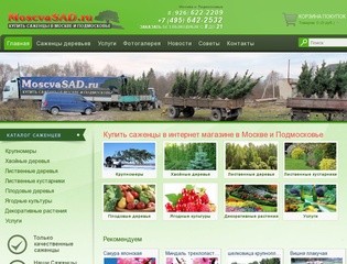 Саженцев деревьев купить в Москве - MoscvaSAD