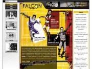 Falcon Design - Дизайн интерьера Магнитогорск