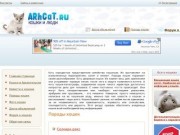 arhCAT.ru - кошки и люди, форум