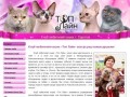 Клуб любителей кошек «Топ Лайн» в Саратове