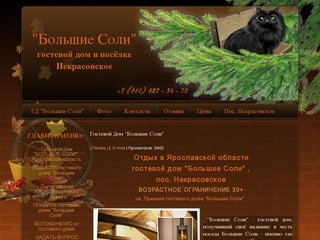 Bsoli.ru - Отдых в Ярославской области