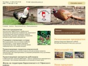 Агрофирма ТДК - фазаны, перепела, куры - Башкортостан, Уфа