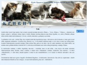 КРИВИЧ - Сайт будущего питомника кошек породы мэйн-кун