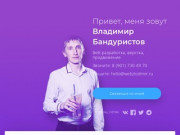 Создание и продвижение сайтов в Москве и Московской области | WebZlodimir