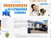 Новокосинская ветеринарная клиника