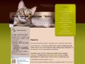 Общество помощи кошкам - Ярославль - Новости