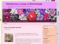 Клематисы и розы в Волгограде | Клематисы и розы в садовой коллекции Натальи Поповой в Волгограде