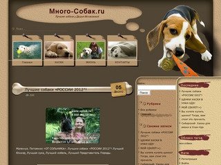 Питомник лучших собак в Москве