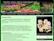 Купить цветы оптом в Пушкино