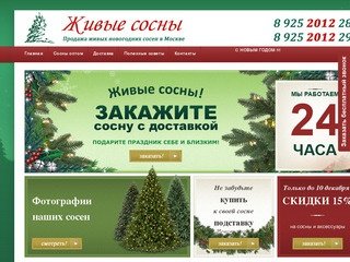 Елка-елка - Живые новогодние сосны с доставкой по Москве