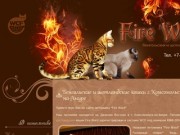 О питомнике - Питомник бенгальских и шотландских кошек Fire Ward