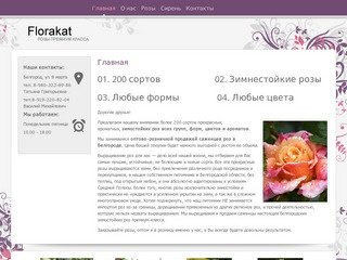 Розы в Белгороде