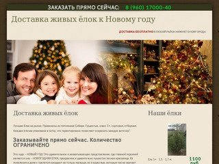 Доставка живых ёлок к Новому году, Нижний Новгород