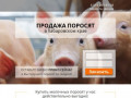 Купить поросят, молочных, маленьких, живых, мясных пород на откорм в Хабаровске, Хабаровском крае