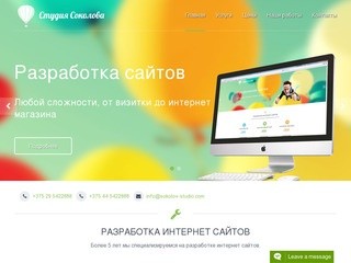Разработка интернет сайтов, продвижение сайтов Студия Соколова, г.Могилев