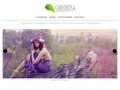 GreenTEA - творческое объединение (фото и видеосъемка свадеб в Оренбурге)