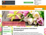 Тюльпаны оптом в Екатеринбурге, разнообразие сортов, многолетние цветы