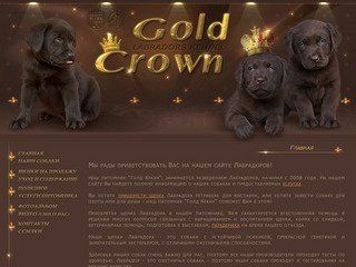 Питомник лабрадоров GOLD CROWN / Голд Краун. Продажа породистых щенков лабрадора ретривера