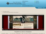 Антон Пискунов - разработка сайтов в Кемерово