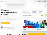 Создание интернет-магазинов в Перми - SiteExpert
