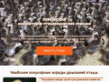 Кимовская инкубаторно-птицеводческая станция