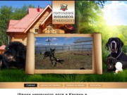 Питомник RussianDog (РашенДог) | Щенки тибетского мастифа и немецкого дога в Казани