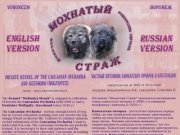 Кавказские овчарки и кеесхонды из Воронежа - МОХНАТЫЙ СТРАЖ