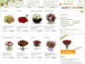 Фловерти.ру - Доставка цветов по Москве, заказ цветов, заказ букета, заказать цветы в Москве