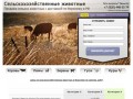 Купить сельскохозяйственных животных. Продажа сельхоз животных по Воронежу и РФ