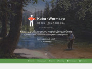 Купить Дендробену в краснодарском крае | KubanWorms.Ru - продажа червей Дендробена