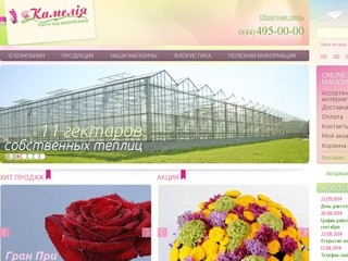 Цветы купить в Киеве, заказать цветы, доставка, оптовая продажа цветов