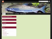 Рыба/Купить рыбу/Копченая рыба/Соленая рыба/Свежемороженая рыба/Красная рыба