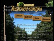 Томские опоры