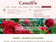 Camellia - цветы оптом и в розницу