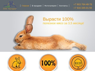 ЛПХ «Хуторки» - Разведение и продажа кроликов