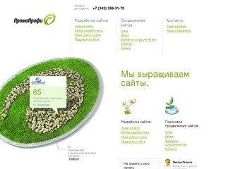 Разработка и продвижение сайтов от ПромоПрофи, Екатеринбург