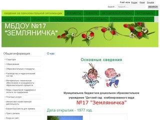 Детский сад
МБДОУ №17 