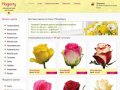 Цветы «Magenty» | Интернет-магазин доставки цветов и букетов в Санкт-Петербурге
