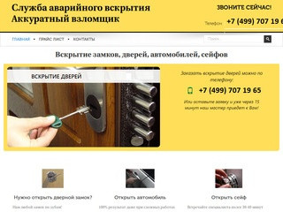 Вызов ветеринара на дом в Москве - Аккуратный взломщик