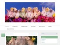 Сайт Брянского Кроликовода