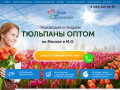 Тюльпаны оптом по Москве и Московской области