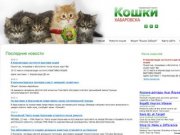 Кошки и котята Хабаровска. Продажа и покупка котят в Хабаровске. Клубы и питомники Хабаровска.