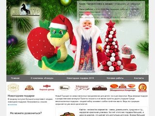 Конкур - новогодние подарки в Ставрополе, новогодние подарки 2013 оптом
