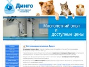 О ветеринарной клинике - Ветеринарная клиника Динго, Екатеринбург