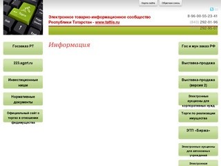 Электронное сообщество Республики Татарстан