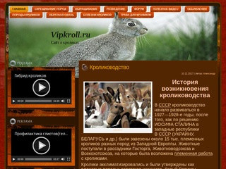 Сайт о кроликах и кролиководстве. (Белоруссия, Гомельская область, Гомель)