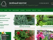 Питомник декоративных растений Зеленый вектор в Москве