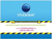 StudioKat - разработка сайтов, сопровождение и раскрутка, аудит сайтов