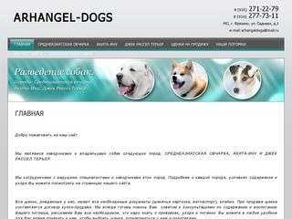 Разведение Продажа породистых собак ARHANGEL-DOGS г. Фрязино